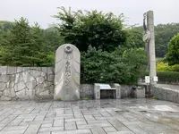 松山総合公園の写真・動画_image_373695