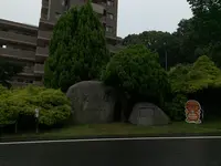 松山総合公園の写真・動画_image_373696