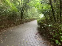 松山総合公園の写真・動画_image_373700