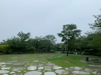 松山総合公園の写真・動画_image_373702