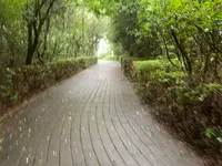 松山総合公園の写真・動画_image_373705