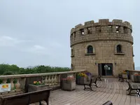 松山総合公園の写真・動画_image_373715