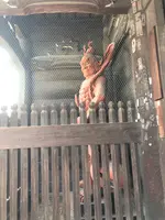 清涼寺 竹仙の写真・動画_image_373746