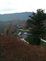 長谷寺の写真・動画_image_373755