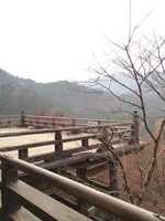 長谷寺の写真・動画_image_373757