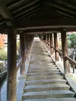 長谷寺の写真・動画_image_373758