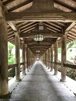 長谷寺の写真・動画_image_373759