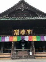 長谷寺の写真・動画_image_373763