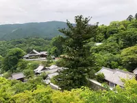 長谷寺の写真・動画_image_373764