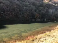 亀山公園の写真・動画_image_373770