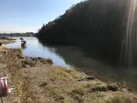 亀山公園の写真・動画_image_373771