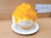 ねいろ屋の写真・動画_image_373804