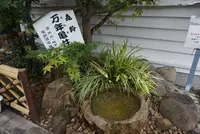 亀齢酒造の写真・動画_image_373868