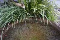 亀齢酒造の写真・動画_image_373870