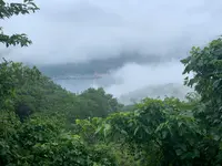 音戸の瀬戸公園の写真・動画_image_374013