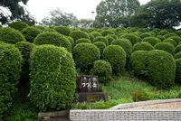 音戸大橋の写真・動画_image_374034