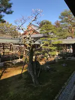 大覚寺の写真・動画_image_374130