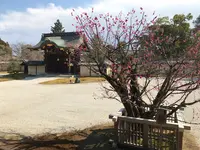 大覚寺の写真・動画_image_374131