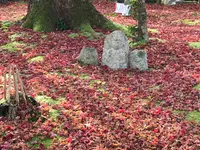 化野念仏寺の写真・動画_image_374142
