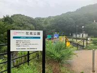 松山総合公園の写真・動画_image_374144