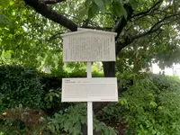松山総合公園の写真・動画_image_374145