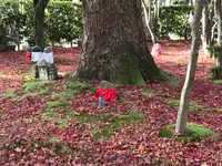 化野念仏寺の写真・動画_image_374157