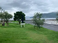 江田島オリーブファクトリーの写真・動画_image_374203