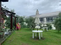 江田島オリーブファクトリーの写真・動画_image_374204