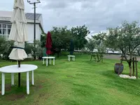 江田島オリーブファクトリーの写真・動画_image_374208