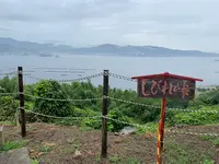 しびれ峠の写真・動画_image_374233