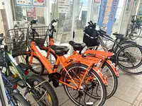 中町桟橋の写真・動画_image_374309