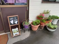 お好み焼き すずの写真・動画_image_374349