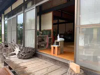 しまのぱん souda！の写真・動画_image_374362
