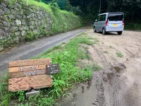 しまのぱん souda！の写真・動画_image_374365