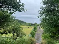 鹿田公園の写真・動画_image_374369