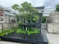 潜水士のためのグラス・ハウスの写真・動画_image_374390