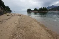 茶臼山の写真・動画_image_374401