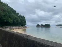 茶臼山の写真・動画_image_374402