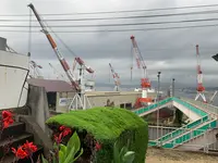 歴史の見える丘の写真・動画_image_374487