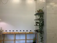 RiPiの写真・動画_image_374556