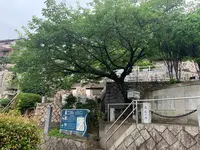 旧海軍墓地（長迫公園）の写真・動画_image_374587
