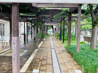 呉ポートピアパークの写真・動画_image_374749