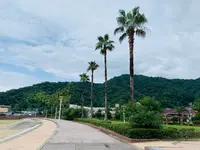 狩留賀海浜公園（ロマンチックビーチかるが）の写真・動画_image_374756