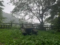 灰ヶ峰の写真・動画_image_374788