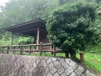 灰ヶ峰の写真・動画_image_374789