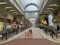 フラワー通りの写真・動画_image_374820