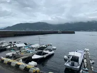 江田島の写真・動画_image_374860