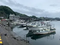 江田島の写真・動画_image_374861
