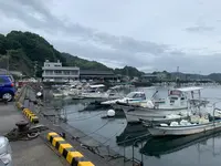 江田島の写真・動画_image_374862