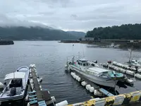 江田島の写真・動画_image_374863